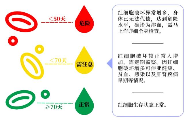 紅細(xì)胞壽命參考區(qū)間